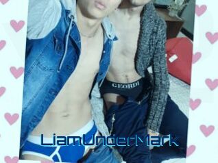 LiamUnderMark