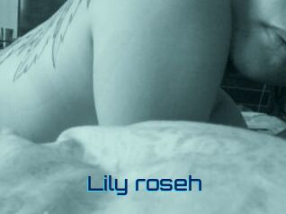 Lily_roseh