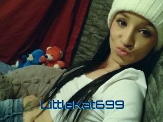 LittleKat699