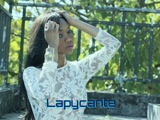Lapycante