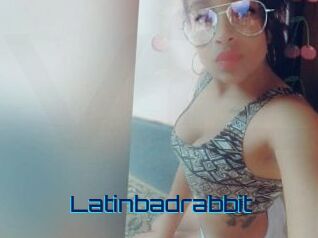 Latinbadrabbit