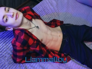 liammalloy Vidéos de Cul FR