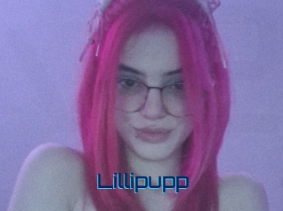 Lillipupp