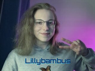 Lillybambus