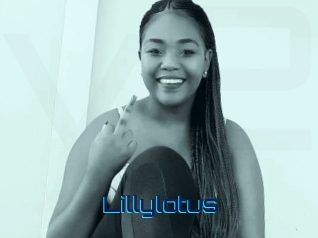 Lillylotus