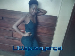Litllepussyangel