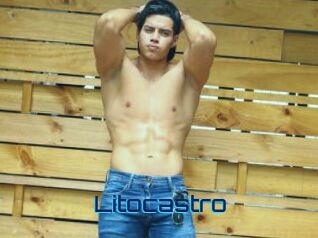 litocastro Vidéos de Cul FR