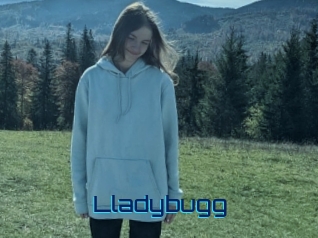 Lladybugg