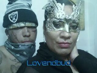 lovendbud Vidéos de Cul FR
