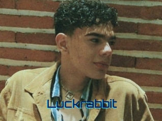 Luckrabbit