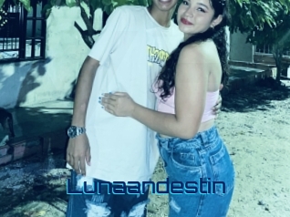 Lunaandestin
