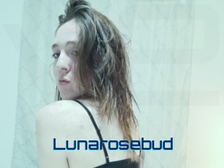 lunarosebud Vidéos de Cul FR