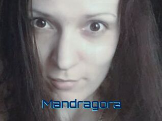 Mandragora Vidéos de Cul FR
