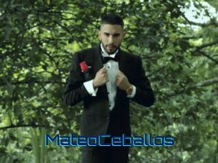 MateoCeballos