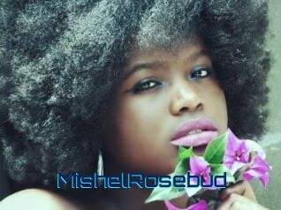 MishelRosebud Vidéos de Cul FR