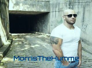 MorrisTheHumme Vidéos de Cul FR