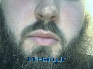 MrHairyJr