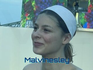 Malvinesley