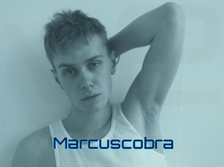 marcuscobra Vidéos de Cul FR