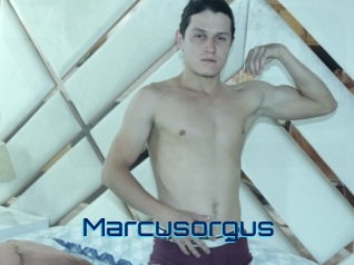 Marcusorgus