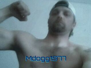 mdogg1977 Vidéos de Cul FR