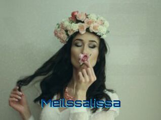 Meilssalissa