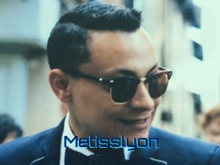 Metisslyon