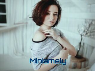 Miniamely