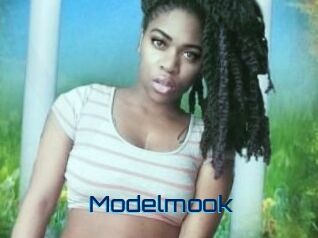 Modelmook