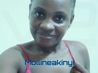 Mollineakinyi