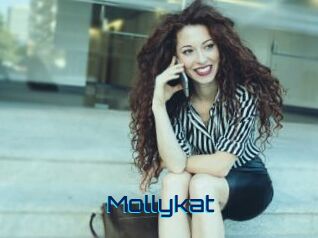 Mollykat
