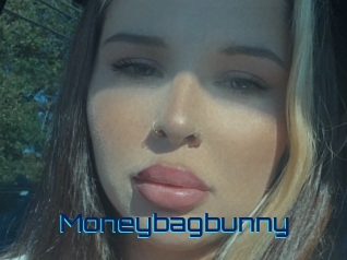 moneybagbunny Vidéos de Cul FR