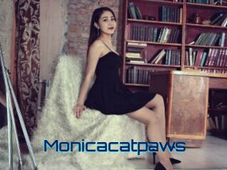 Monicacatpaws