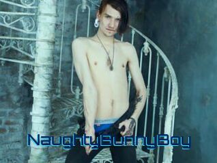 NaughtyBunnyBoy