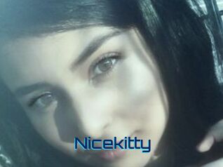 Nicekitty