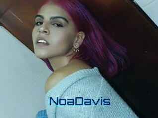 NoaDavis