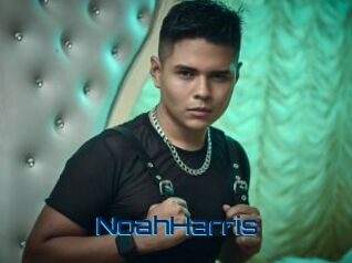 NoahHarris