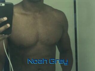 Noah_Grey