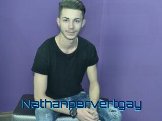 Nathanpervertgay
