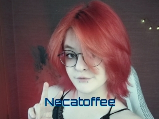 necatoffee Vidéos de Cul FR