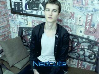 Nedcute
