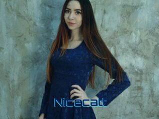 nicecatt Vidéos de Cul FR