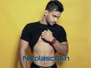 nicolascollin Vidéos de Cul FR