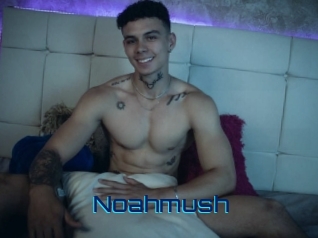 noahmush Vidéos de Cul FR