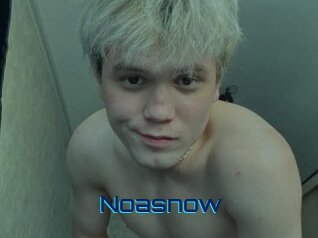 Noasnow