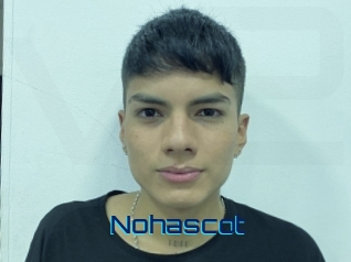 nohascot Vidéos de Cul FR