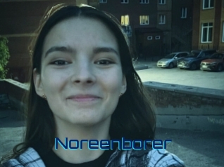 Noreenborer