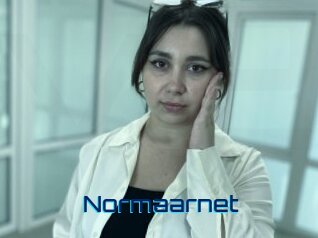 Normaarnet