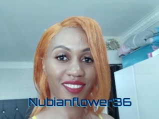 nubianflower36 Vidéos de Cul FR