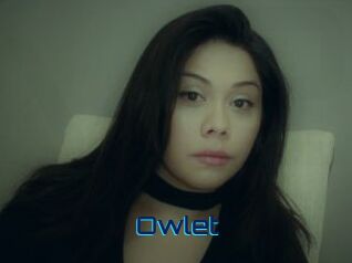 _Owlet_